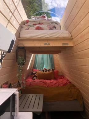 Family Skylight in Laitila